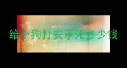 给小狗打安乐死多少钱