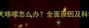 拉布拉多幼犬哆嗦怎么办全面原因及科学护理指南