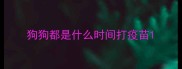 狗狗都是什么时间打疫苗