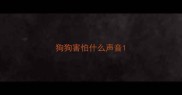 狗狗害怕什么声音