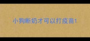 小狗断奶才可以打疫苗