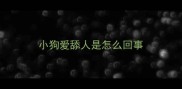 小狗爱舔人是怎么回事