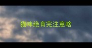 猫咪绝育完注意啥