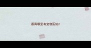 番禺哪里有宠物医院