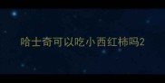 哈士奇可以吃小西红柿吗