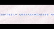 边牧吐了没消化的狗粮怎么办边境牧羊犬呕吐原因及应对指南附喂食建议