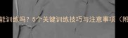 两个月大的小狗能训练吗5个关键训练技巧与注意事项附科学喂养指南