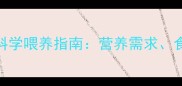 四个月边境牧羊犬科学喂养指南营养需求食谱推荐与禁忌清单