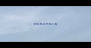 如何用毛巾做小狗