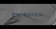 想养一条拉布拉多