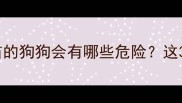 养狗必看不打疫苗的狗狗会有哪些危险这3大后果太让人揪心
