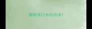 猫咪流口水吐白沫