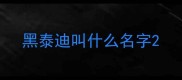 黑泰迪叫什么名字