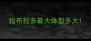拉布拉多最大体型多大