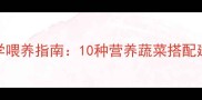 拉布拉多犬科学喂养指南10种营养蔬菜搭配建议及食用禁忌