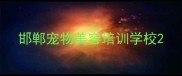 邯郸宠物美容培训学校