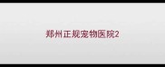 郑州正规宠物医院