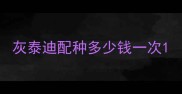灰泰迪配种多少钱一次