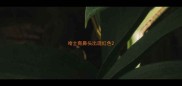 哈士奇鼻头出现红色