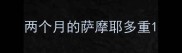 两个月的萨摩耶多重