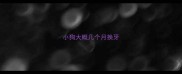 小狗大概几个月换牙