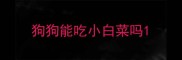 狗狗能吃小白菜吗