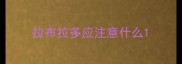 拉布拉多应注意什么