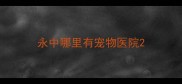 永中哪里有宠物医院