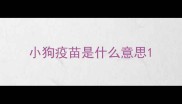 小狗疫苗是什么意思