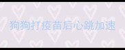 狗狗打疫苗后心跳加速