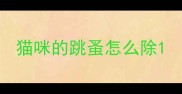 猫咪的跳蚤怎么除