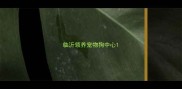 临沂领养宠物狗中心