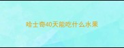 哈士奇40天能吃什么水果