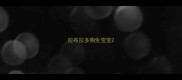 拉布拉多狗生宝宝