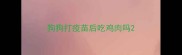 狗狗打疫苗后吃鸡肉吗