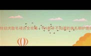 德牧幼犬胎毛褪去全攻略90新手不知道的换毛期护理指南
