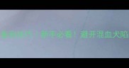 纯种哈士奇5大鉴别技巧新手必看避开混血犬陷阱的终极指南