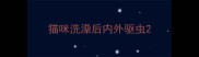 猫咪洗澡后内外驱虫