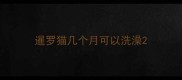 暹罗猫几个月可以洗澡
