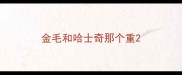 金毛和哈士奇那个重