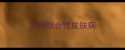 宠物综合性皮肤病