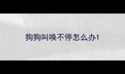 狗狗叫唤不停怎么办
