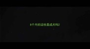 8个月的边牧是成犬吗