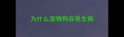 为什么宠物狗容易生病