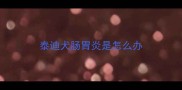 泰迪犬肠胃炎是怎么办