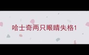 哈士奇两只眼睛失格