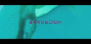 金毛可以自己培训