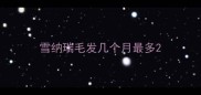雪纳瑞毛发几个月最多