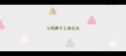 小狗鼻子上有白点