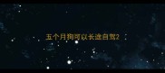 五个月狗可以长途自驾